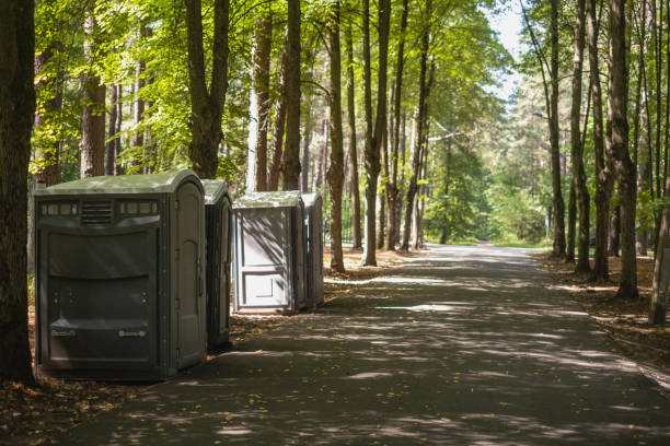 Best Luxury portable toilet rental  in Germantown, IL